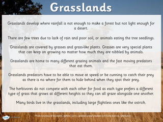 Photo courtesy of davidpitts (@flickr.com) - granted under creative commons licence - attribution
 