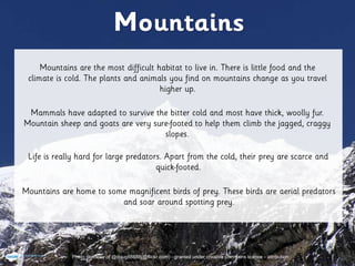 Photo courtesy of @doug88888(@flickr.com) - granted under creative commons licence - attribution
 