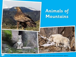 Photo courtesy of leon_Rowland, Daniel P Davies and Pattys-photos (@flickr.com) - granted under creative commons licence - attribution
 