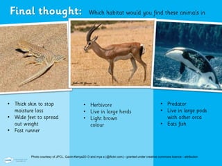 Photo courtesy of JPCL, Gavin-Kenya2013 and mya s (@flickr.com) - granted under creative commons licence - attribution
•
•
•
•
•
•
•
•
•
 