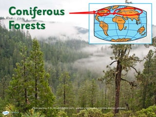 Photo courtesy of Al_HikesAZ(@flickr.com) - granted under creative commons licence - attribution
 