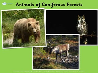 Photo courtesy of land[e]scape, jgc photography and timo_w2s(@flickr.com) - granted under creative commons licence - attribution
 