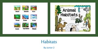 Habitats
By Junior 2
 