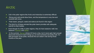 Arctic
 Life in the polar regions like Arctic and Antarctica is extremely difficult.
 Strong and cold winds blow there, and the temperature is very low and
covered with snow.
 Polar bears, penguin, seals and walrus are found in this region
 The thick fur of these animals like polar bears provides with adequate
warmth to their bodies.
 Even though it’s chilly in polar regions, they do have seasons—well, two
seasons: summer and winter.
 In the summer, the sun shines 24 hours a day, but it never gets high enough
above the horizon to warm things up, so even summers are pretty cold. It’s
dark all winter at the poles, because the sun doesn’t rise during those
months of the year.
 