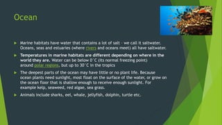 Ocean
 Marine habitats have water that contains a lot of salt – we call it saltwater.
Oceans, seas and estuaries (where rivers and oceans meet) all have saltwater.
 Temperatures in marine habitats are different depending on where in the
world they are. Water can be below 0°C (its normal freezing point)
around polar regions, but up to 30°C in the tropics
 The deepest parts of the ocean may have little or no plant life. Because
ocean plants need sunlight, most float on the surface of the water, or grow on
the ocean floor that is shallow enough to receive enough sunlight. For
example kelp, seaweed, red algae, sea grass.
 Animals include sharks, eel, whale, jellyfish, dolphin, turtle etc.
 