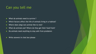 Can you tell me
 What do animals need to survive ?
 Which factors affect the life of animals living in a habitat?
 Where does (dog/cat) animal like to rest?
 What do animals eat? Where do they get their food from?
 Do animals need anything to stay safe from predators
 Write answers in chat box please
 