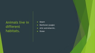 Animals live in
different
habitats.
 Desert
 Rainforest (jungle)
 Artic and Antarctic.
 Ocean
 