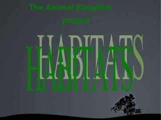 The Animal Kingdom
project
 