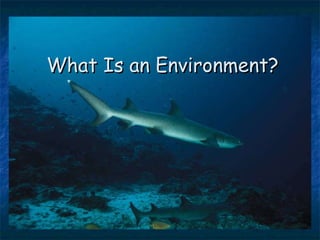 What Is an Environment? 