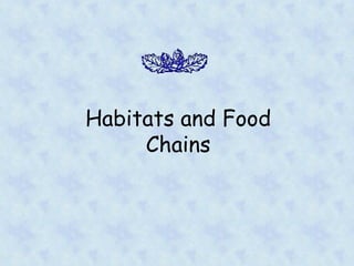 Habitats and Food Chains 