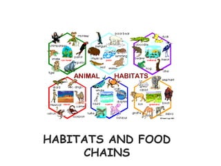 HABITATS AND FOOD
     CHAINS
 