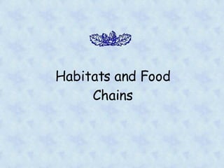 Habitats and Food Chains 