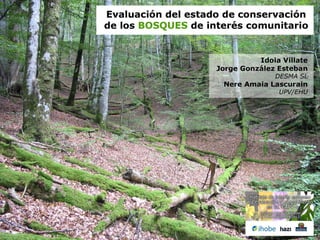 habitats_bosques.pdf
