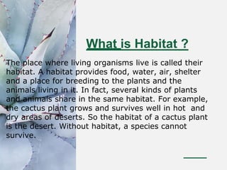 Habitat science grp activity 6b | PPTX