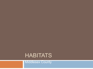 HABITATS
Middlesex County
 