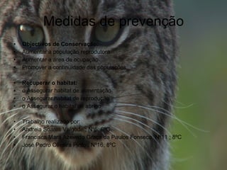 Medidas de prevenção Objectivos de Conservação:  Aumentar a população reprodutora Aumentar a área de ocupação  Promover a continuidade das populações  Recuperar o habitat:  o Assegurar habitat de alimentação  o Assegurar habitat de reprodução  o Assegurar o habitat de abrigo Trabalho realizado por: Andreia Soares Valgode ; Nº5; 8ºC Francisca Mara Azevedo Graça da Paulos Fonseca, Nº11 ; 8ºC José Pedro Oliveira Pinto ; Nº16; 8ºC  