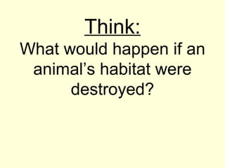 Think:
What would happen if an
animal’s habitat were
destroyed?
 