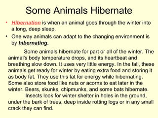 Some Animals Hibernate
• Hibernation is when an animal goes through the winter into
a long, deep sleep.
• One way animals can adapt to the changing environment is
by hibernating.
Some animals hibernate for part or all of the winter. The
animal's body temperature drops, and its heartbeat and
breathing slow down. It uses very little energy. In the fall, these
animals get ready for winter by eating extra food and storing it
as body fat. They use this fat for energy while hibernating.
Some also store food like nuts or acorns to eat later in the
winter. Bears, skunks, chipmunks, and some bats hibernate.
Insects look for winter shelter in holes in the ground,
under the bark of trees, deep inside rotting logs or in any small
crack they can find.
 