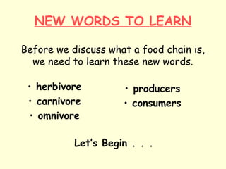 NEW WORDS TO LEARN
Before we discuss what a food chain is,
we need to learn these new words.
• herbivore
• carnivore
• omnivore
• producers
• consumers
Let’s Begin . . .
 