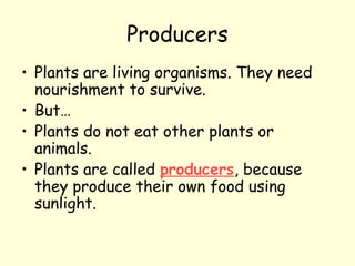 Producers
• Plants are living organisms. They need
nourishment to survive.
• But…
• Plants do not eat other plants or
animals.
• Plants are called producers, because
they produce their own food using
sunlight.
 