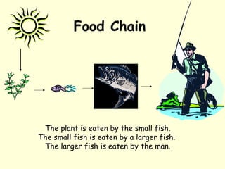 Food Chain
The plant is eaten by the small fish.
The small fish is eaten by a larger fish.
The larger fish is eaten by the man.
 