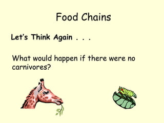 Let’s Think Again . . .
What would happen if there were no
carnivores?
Food Chains
 