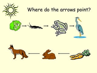 Where do the arrows point?
 