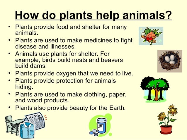 Habitats for plants and animals