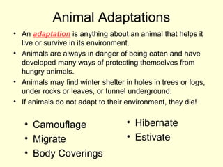 Animal Adaptations
• An adaptation is anything about an animal that helps it
live or survive in its environment.
• Animals are always in danger of being eaten and have
developed many ways of protecting themselves from
hungry animals.
• Animals may find winter shelter in holes in trees or logs,
under rocks or leaves, or tunnel underground.
• If animals do not adapt to their environment, they die!

• Camouflage
• Migrate
• Body Coverings

• Hibernate
• Estivate

 