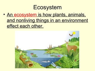 Ecosystem
• An ecosystem is how plants, animals,
and nonliving things in an environment
effect each other.

 