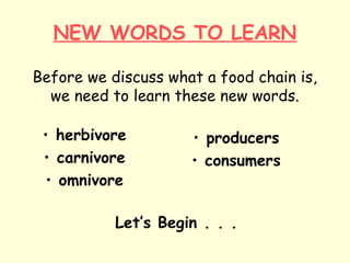 NEW WORDS TO LEARN
Before we discuss what a food chain is,
we need to learn these new words.
• herbivore
• carnivore
• omnivore

• producers
• consumers

Let’s Begin . . .

 