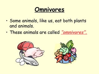 Omnivores
• Some animals, like us, eat both plants
and animals.
• These animals are called “omnivores”.

 