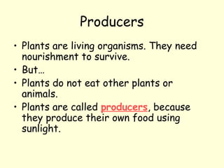 Producers
• Plants are living organisms. They need
nourishment to survive.
• But…
• Plants do not eat other plants or
animals.
• Plants are called producers, because
they produce their own food using
sunlight.

 