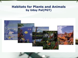 Habitats for Plants and Animals
by Uday Pal(PGT)
 