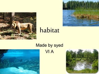 habitat
Made by syed
VI A
 