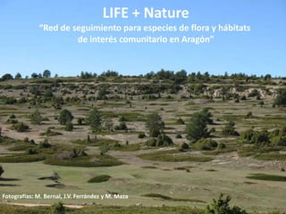 LIFE + Nature
“Red de seguimiento para especies de flora y hábitats
de interés comunitario en Aragón”
Fotografías: M. Bernal, J.V. Ferrández y M. Maza
 
