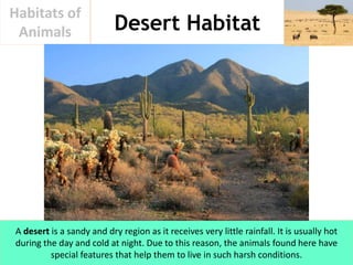 Desert Habitat
Habitats of
Animals
A desert is a sandy and dry region as it receives very little rainfall. It is usually h...