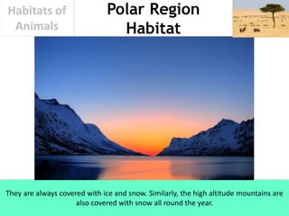 Polar Region
Habitat
Habitats of
Animals
They are always covered with ice and snow. Similarly, the high altitude mountains...