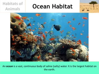 Ocean Habitat
Habitats of
Animals
An ocean is a vast, continuous body of saline (salty) water. It is the largest habitat o...