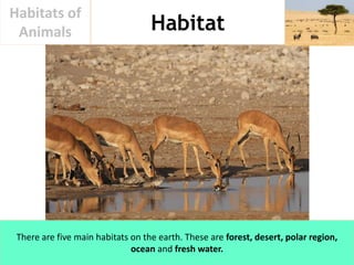 Habitat
Habitats of
Animals
There are five main habitats on the earth. These are forest, desert, polar region,
ocean and f...