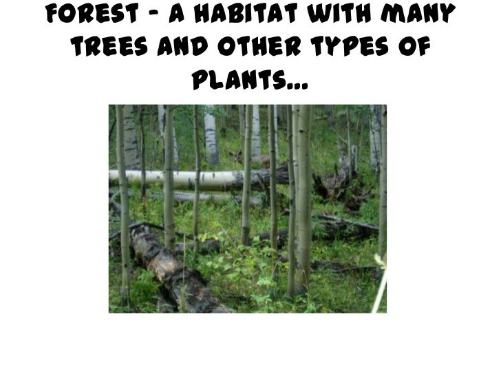 Habitats powerpoint