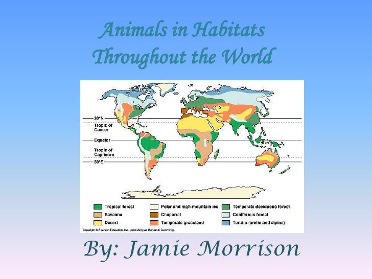 Habitats Throughout The World