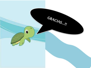 Hábitats tortugas marinas