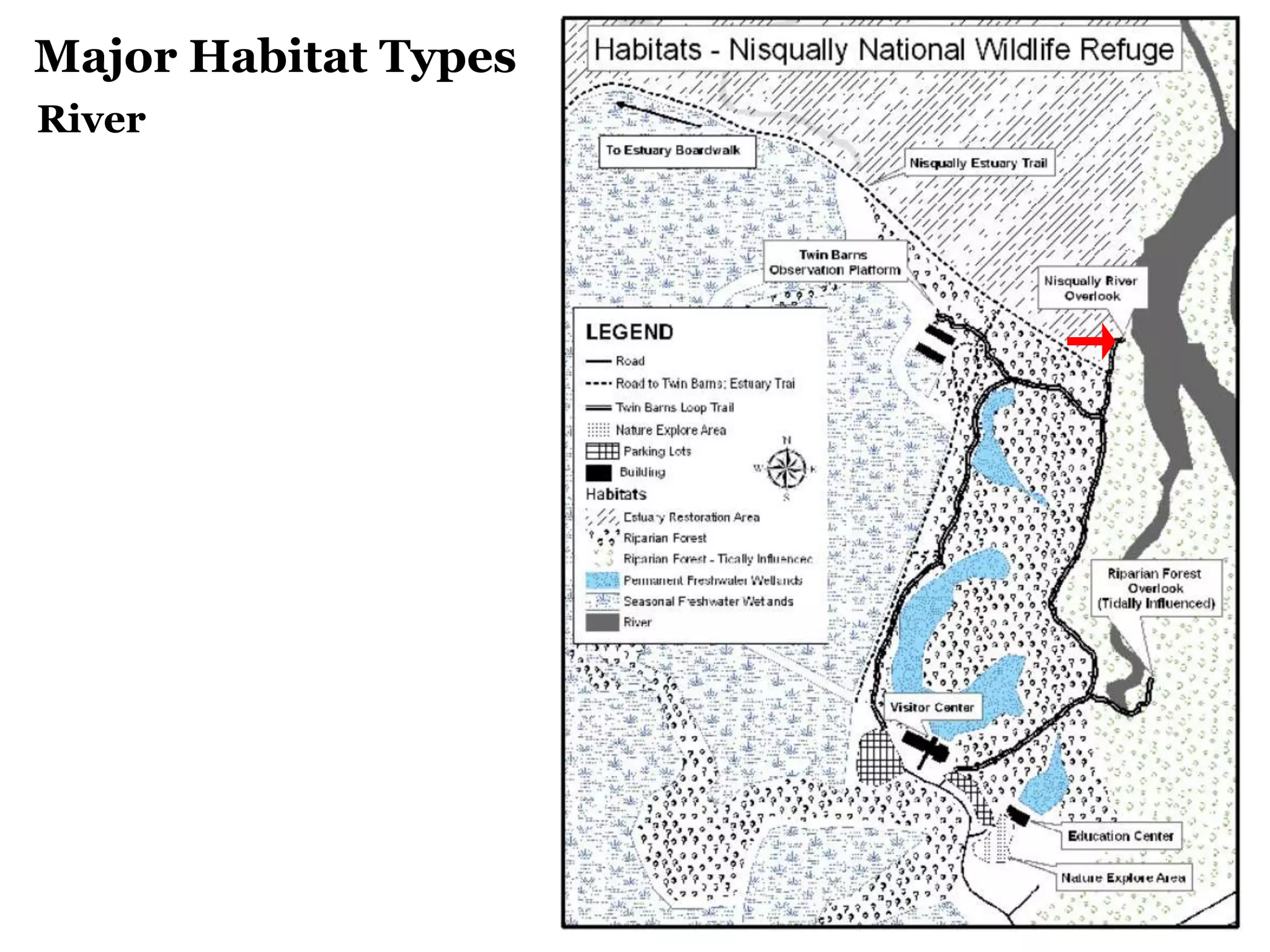 Major Habitat Types
River
 