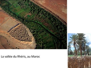 La vallée du Rhéris, au Maroc
 