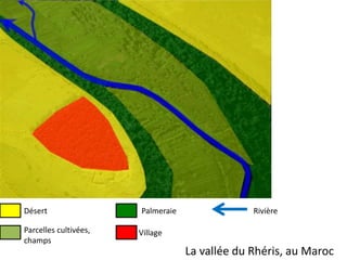 Désert
Parcelles cultivées,
champs
Palmeraie
Village
Rivière
La vallée du Rhéris, au Maroc
 