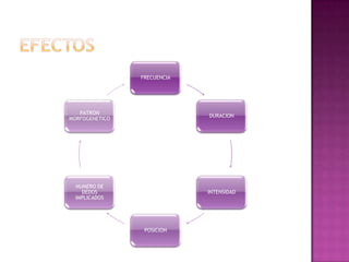 FRECUENCIA




   PATRON
                             DURACION
MORFOGENETICO




  NUMERO DE
    DEDOS                    INTENSIDAD
  IMPLICADOS




                 POSICION
 