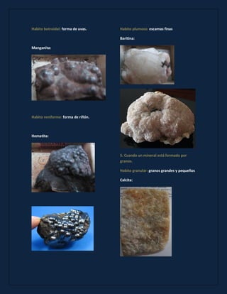 forma de uvas. Habito botroidal: 
Manganita: 
forma de riñón. Habito reniforme: 
Hematita: 
escamas finas Habito plumoso: 
Baritina: 
5. Cuando un mineral está formado por granos. 
granos grandes y pequeños Habito granular: 
Calcita: 
 