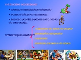 Objectivos nutricionais: Manter o crescimento adequado Evitar o défice de nutrientes Prevenir possíveis problemas de saúde da fase adulta  Alimentação saudável Alimentos de todos os grupos Proporções adequadas Variedade Produtos frescos e da época 