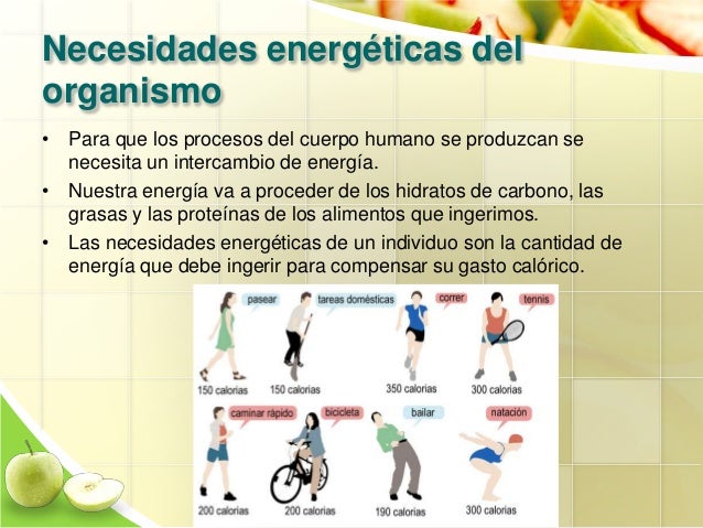 De Que Factores Dependen Las Necesidades Energeticas Del Organismo Humano